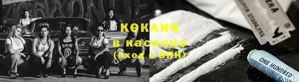 дживик Абаза