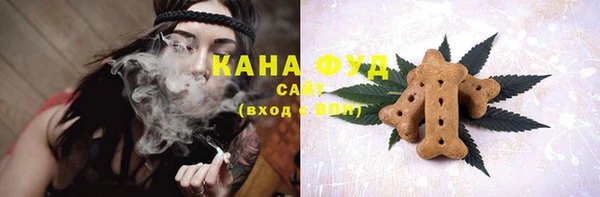 дживик Абаза