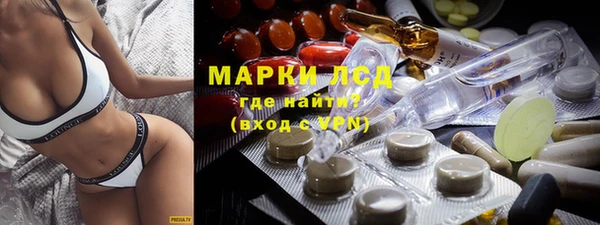 ПСИЛОЦИБИНОВЫЕ ГРИБЫ Алексеевка