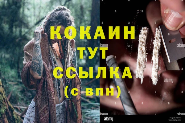 дживик Абаза