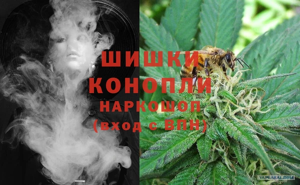дживик Абаза