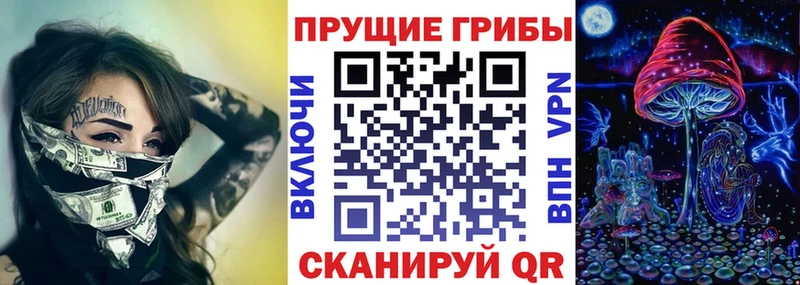 KRAKEN   Струнино  Галлюциногенные грибы ЛСД 